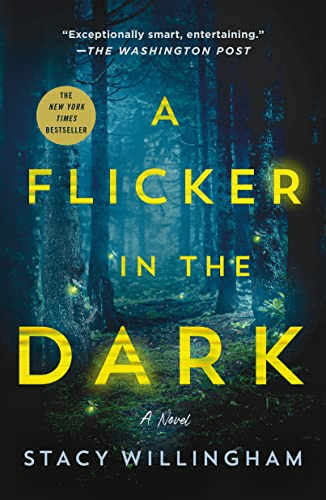 Flicker in the Dark Book