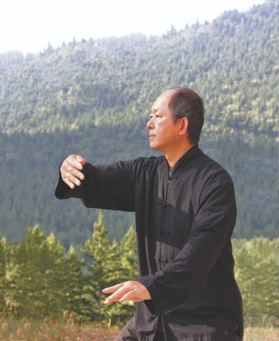 Yang Tai Chi for Beginners - Tai Chi Dvd Beginner Exercise by Dr. Yang, Jwing-Ming - Image 2