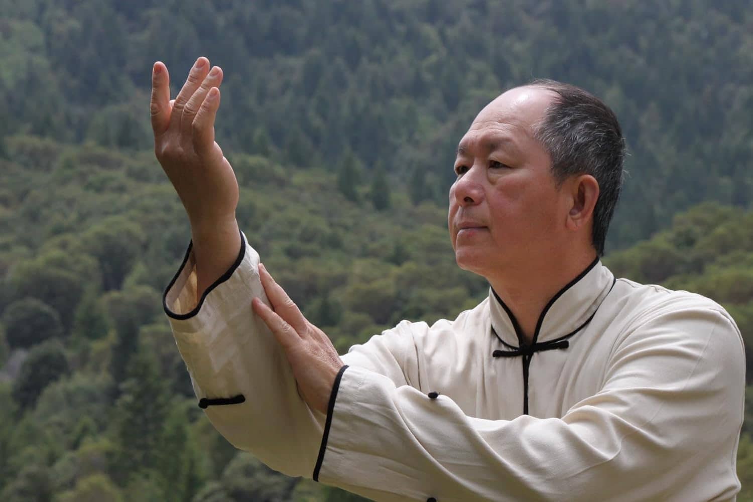 Yang Tai Chi for Beginners - Tai Chi Dvd Beginner Exercise by Dr. Yang, Jwing-Ming - Image 4