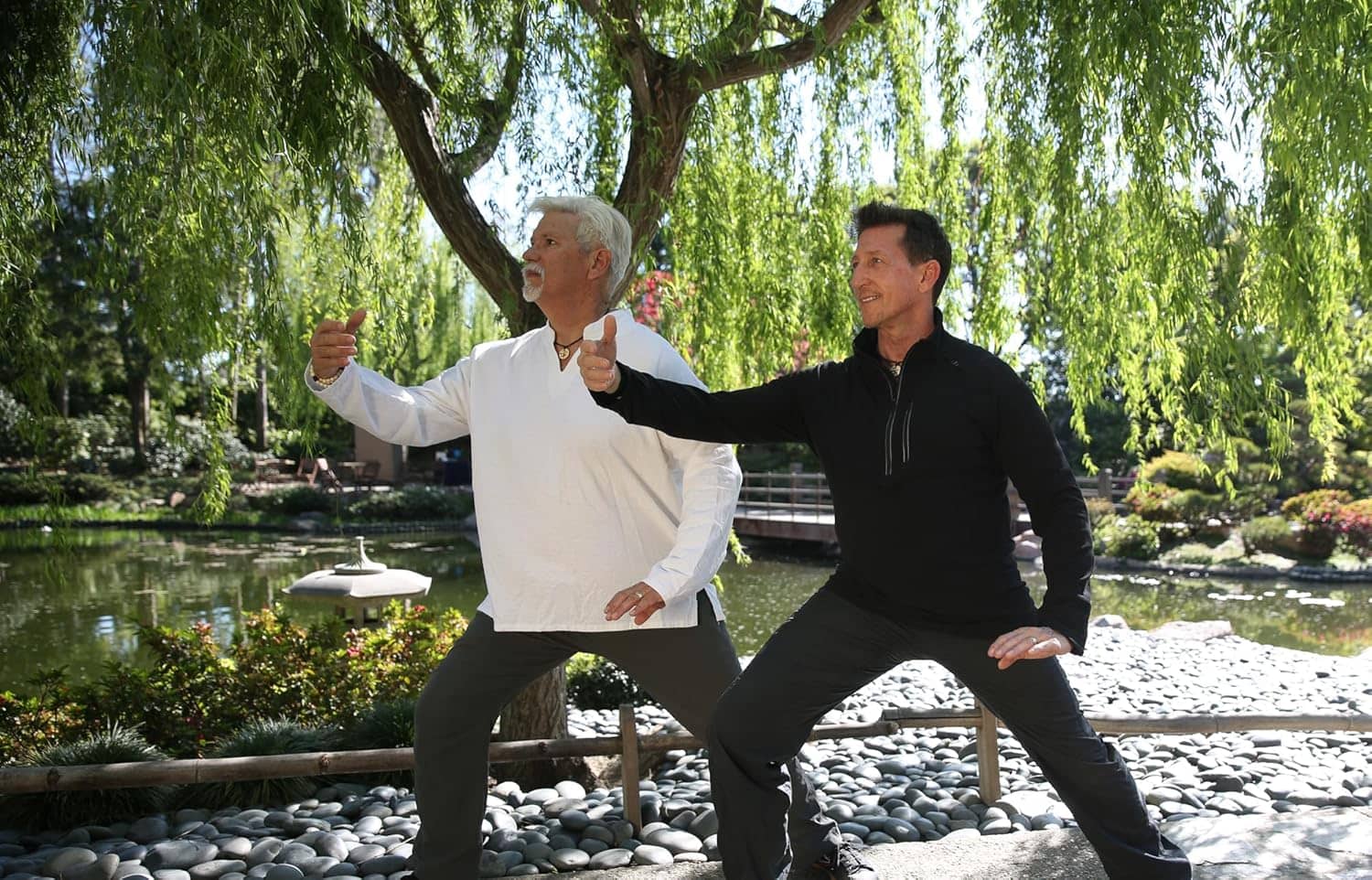 Tai Chi Fit: Over 50 Beginner Exercises with David-Dorian Ross - Perfect Tai Chi Dvd for Any Age - Follow Along with Nothing to Memorize *DDR Taijifit Bestseller - Image 4