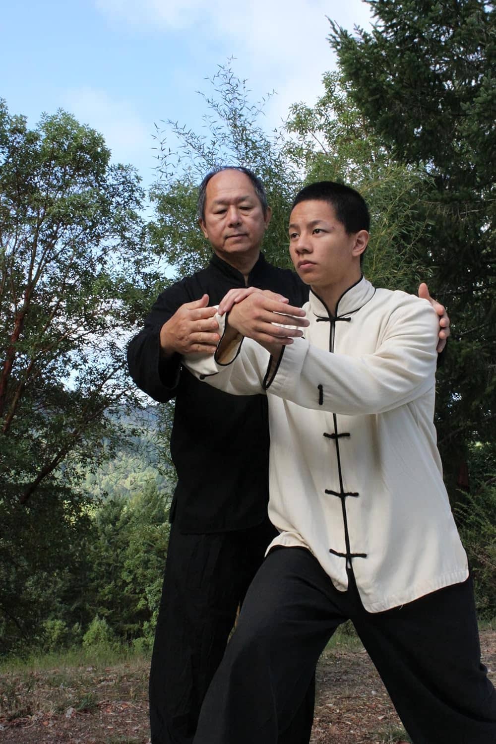 Yang Tai Chi for Beginners - Tai Chi Dvd Beginner Exercise by Dr. Yang, Jwing-Ming - Image 3