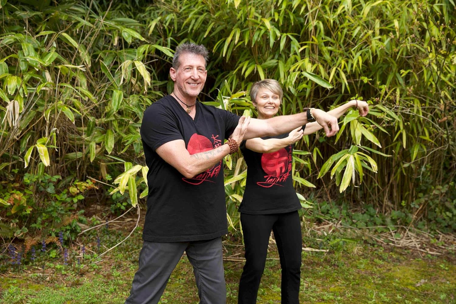 Tai Chi Fit: Over 50 Beginner Exercises with David-Dorian Ross - Perfect Tai Chi Dvd for Any Age - Follow Along with Nothing to Memorize *DDR Taijifit Bestseller - Image 2